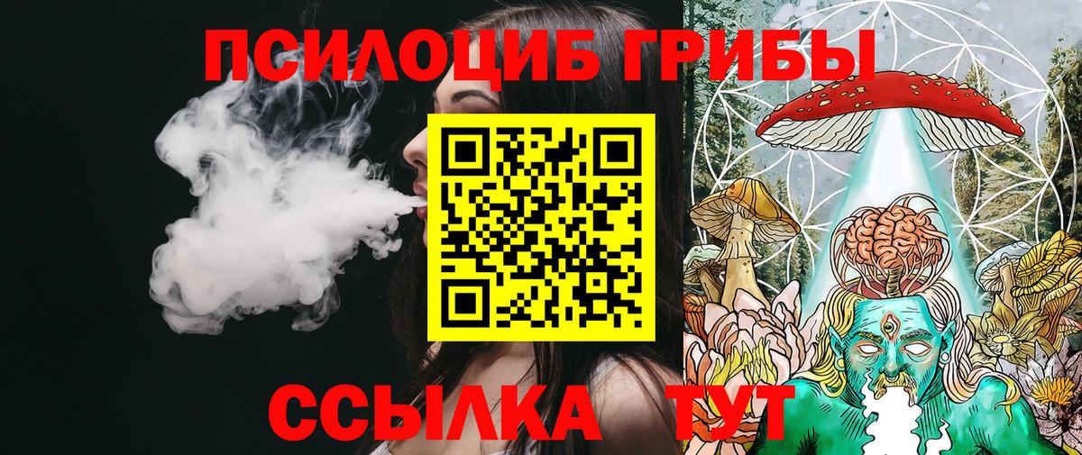 Галлюциногенные грибы Psilocybine cubensis  Вход с VPN  Спасск-Дальний 