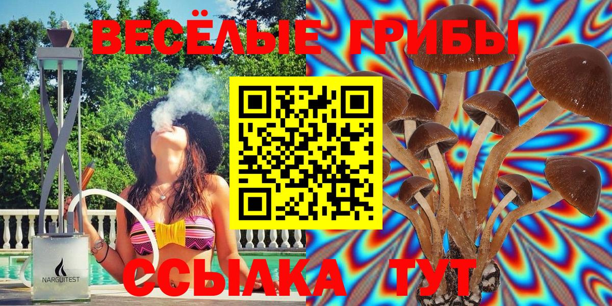Псилоцибиновые грибы Psilocybine cubensis Спасск-Дальний
